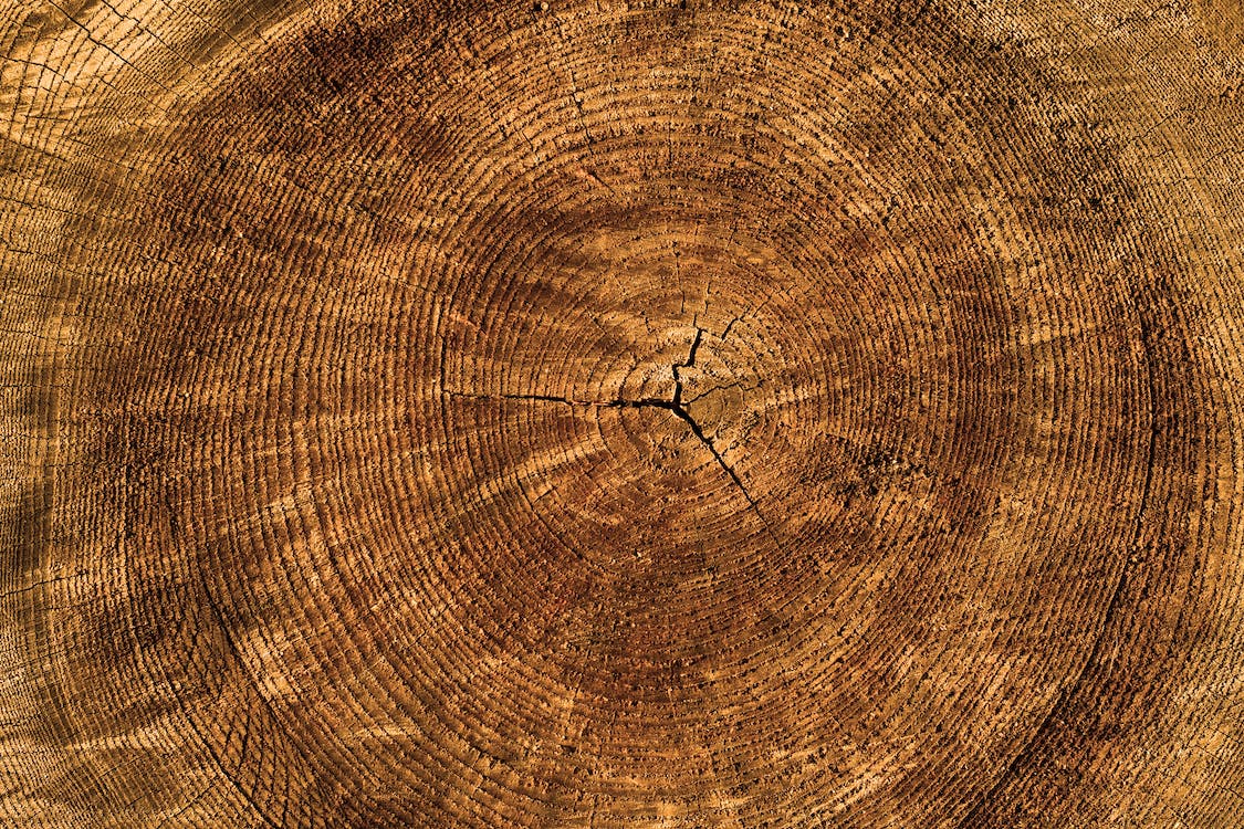 Arta lemnului în Maramureș: istorie și evoluție