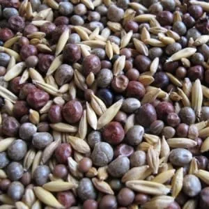 Aldemo TQM oferă o gamă variată de produse agricole menite să îmbunătățească fertilitatea solului, să fixeze azotul și să sprijine biodiversitatea