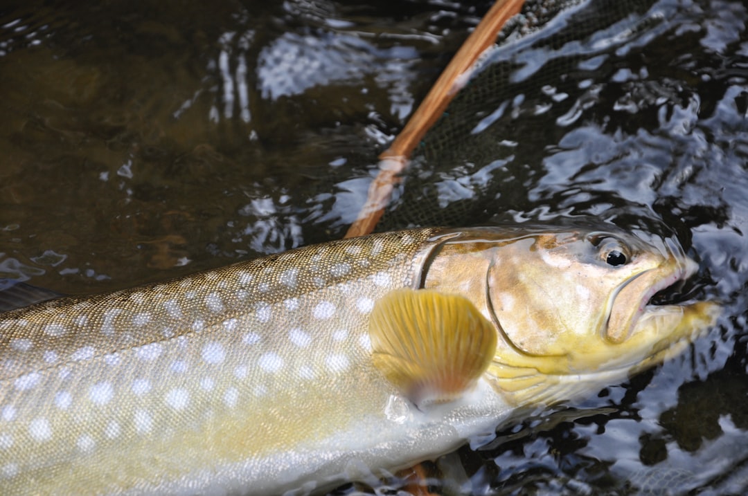 Photo fishing spots