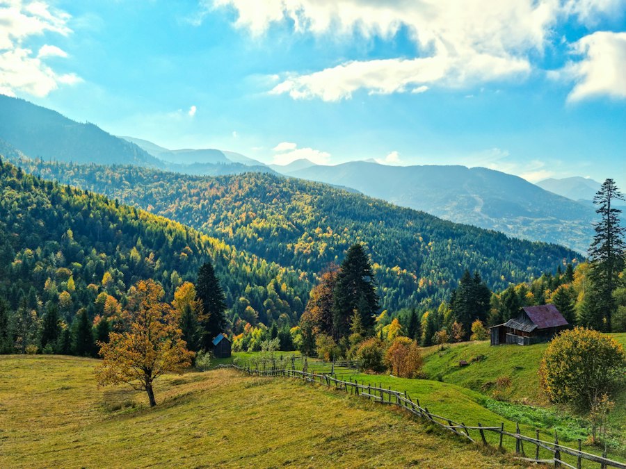 Maramureș