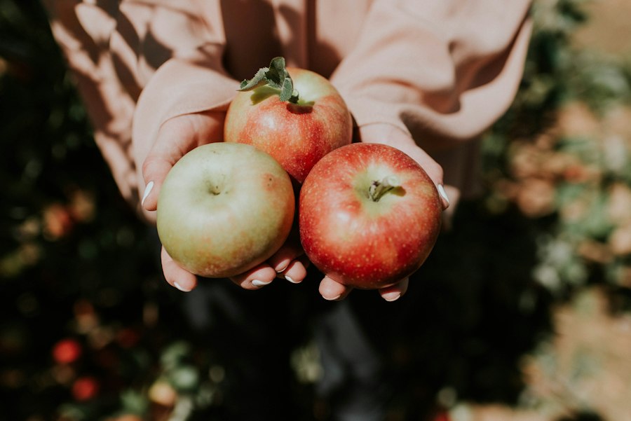 Photo seasonal harvest habits