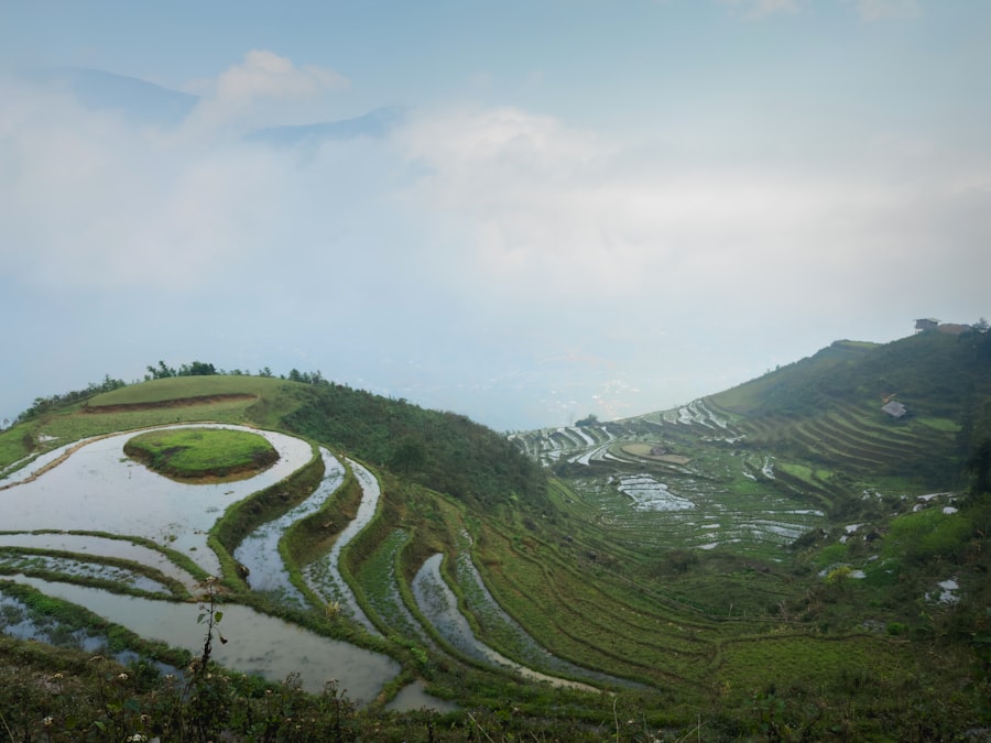 Photo agrotourism