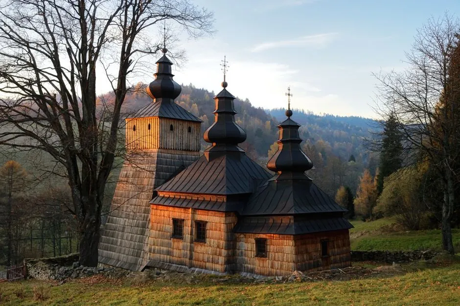 Stiri maramures cele mai recente noutati din regiune — reperemaramuresene.ro