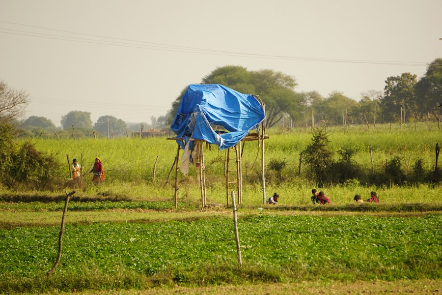 Photo village life