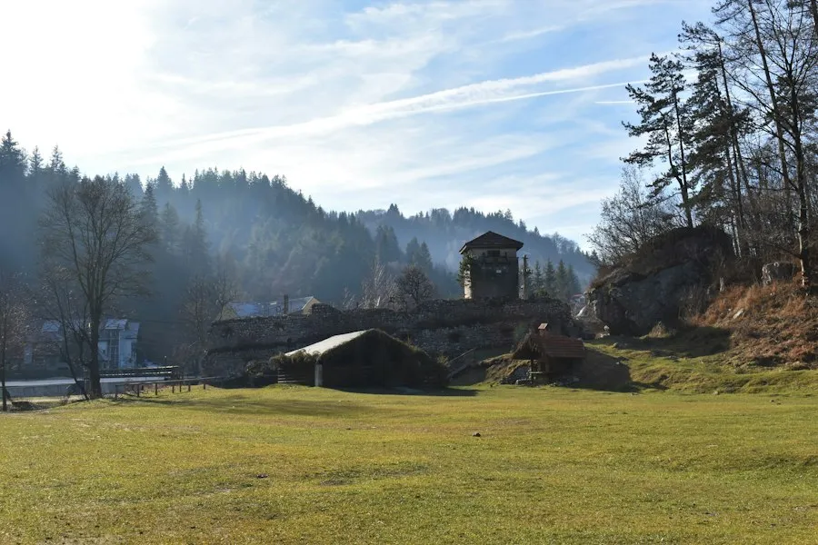Vaser Valley Mocanita steam train Romania