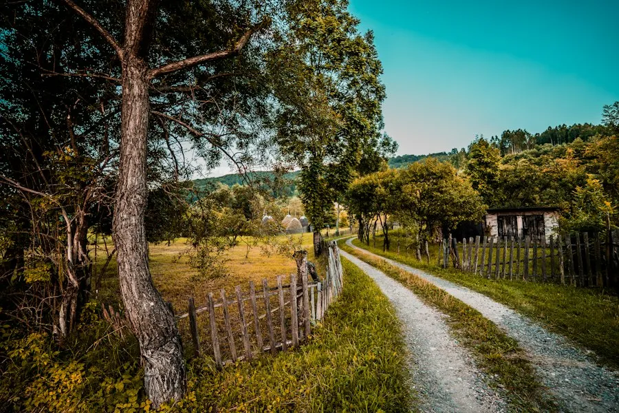 Photo traditional villages Romania