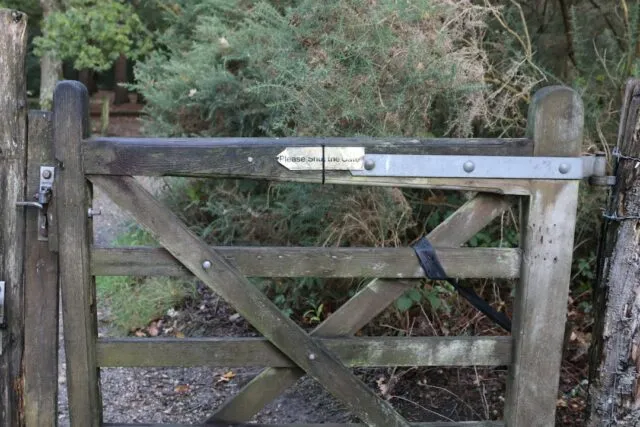 Photo old wooden gate cleaning maintenance