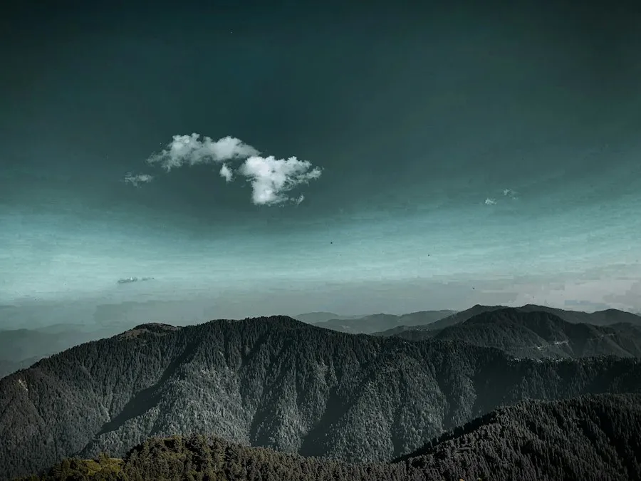 Photo Rodnei Mountains Romania nature landscape