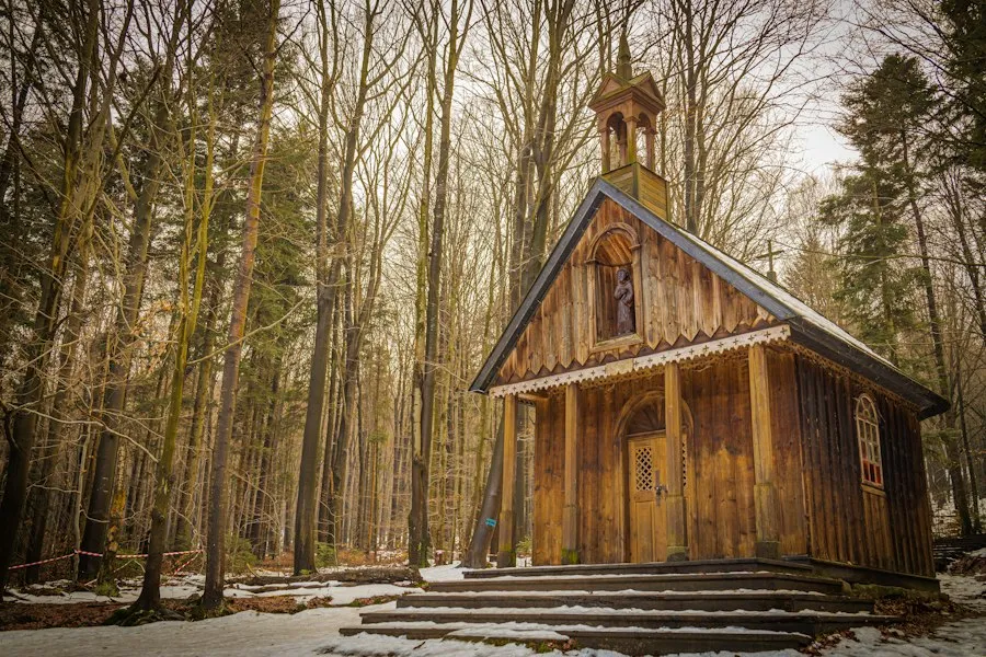 wooden churches analysis research